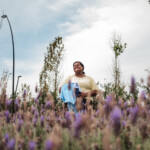 Optimized by JPEGmini 3.15.0.81154240 0x489dbb30